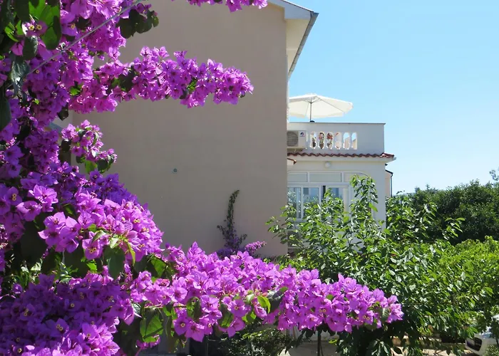 Apartment Bella Vista *